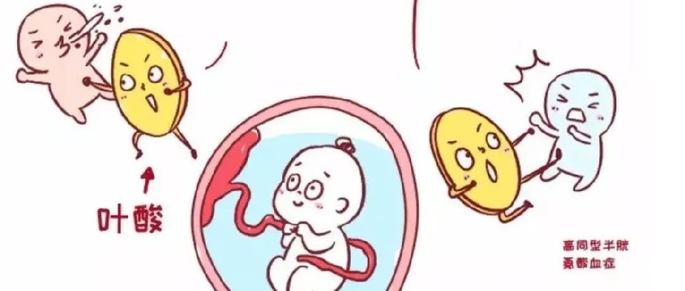 孕期 3 種錯誤葉酸吃法，葉酸你吃對了嗎