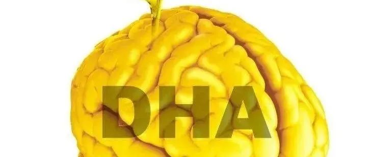 DHA補(bǔ)充的最佳時(shí)期，你家孩子及時(shí)補(bǔ)上了嗎？