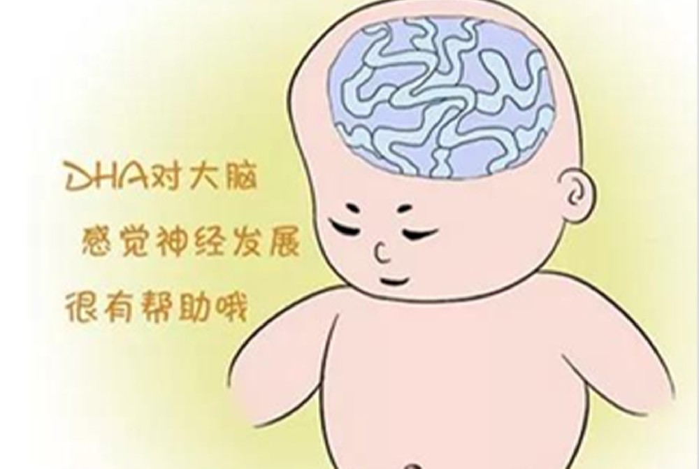 DHA—為“ 腦 ”助力，補(bǔ)與不補(bǔ)差別有多大？