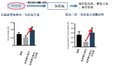 認(rèn)識(shí)芯蕊康（克弗爾肽）預(yù)防動(dòng)脈粥樣硬化心血
